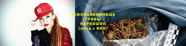 кокс Липки