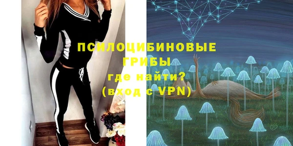 сатива Абдулино